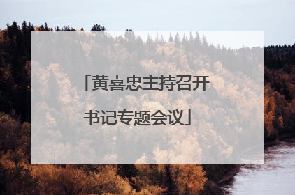 黄喜忠主持召开书记专题会议
