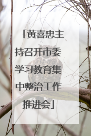 黄喜忠主持召开市委学习教育集中整治工作推进会