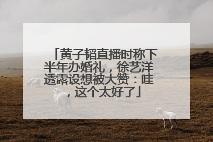 黄子韬直播时称下半年办婚礼，徐艺洋透露设想被大赞：哇，这个太好了