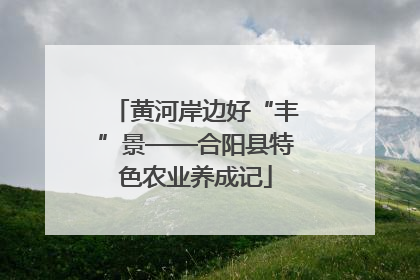 黄河岸边好“丰”景——合阳县特色农业养成记