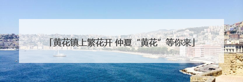 黄花镇上繁花开 仲夏“黄花”等你来