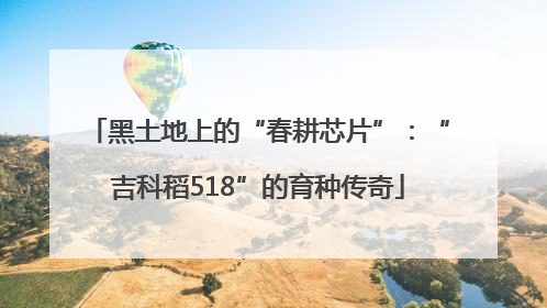 黑土地上的“春耕芯片”：“吉科稻518”的育种传奇