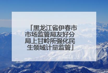 黑龙江省伊春市市场监管局友好分局上甘岭所强化民生领域计量监管