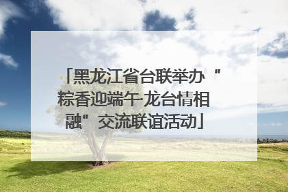 黑龙江省台联举办“粽香迎端午·龙台情相融”交流联谊活动