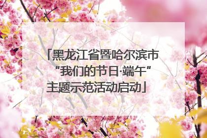 黑龙江省暨哈尔滨市“我们的节日·端午”主题示范活动启动