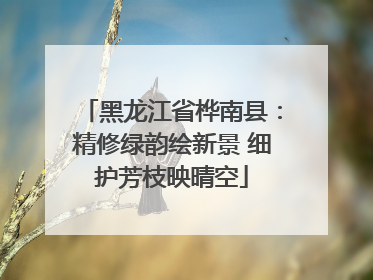 黑龙江省桦南县：精修绿韵绘新景 细护芳枝映晴空