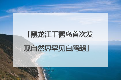 黑龙江千鹤岛首次发现自然界罕见白鸬鹚