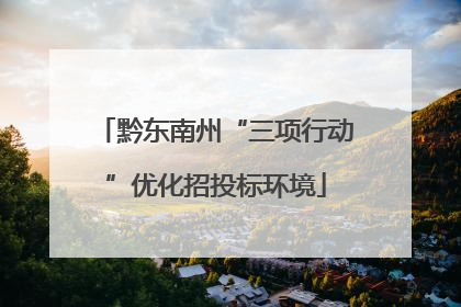黔东南州“三项行动”优化招投标环境