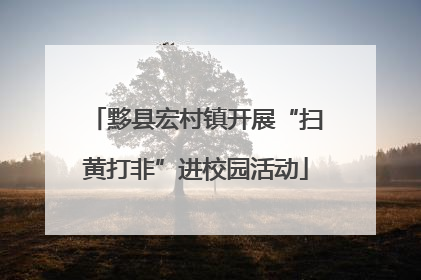 黟县宏村镇开展“扫黄打非”进校园活动