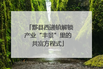 黟县西递镇解锁产业“丰景”里的共富方程式