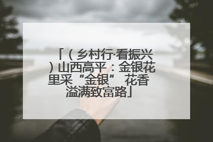 （乡村行·看振兴）山西高平：金银花里采“金银” 花香溢满致富路