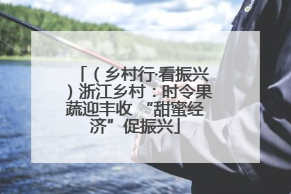 （乡村行·看振兴）浙江乡村：时令果蔬迎丰收 “甜蜜经济”促振兴