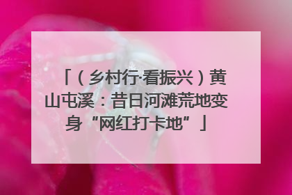 （乡村行·看振兴）黄山屯溪：昔日河滩荒地变身“网红打卡地”