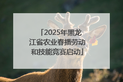 2025年黑龙江省农业春播劳动和技能竞赛启动