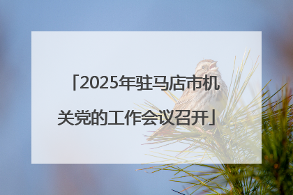 2025年驻马店市机关党的工作会议召开