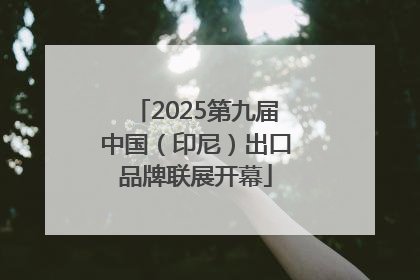 2025第九届中国（印尼）出口品牌联展开幕