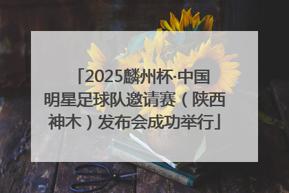 2025麟州杯·中国明星足球队邀请赛（陕西神木）发布会成功举行