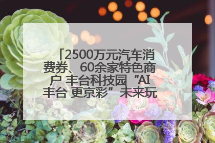 2500万元汽车消费券、60余家特色商户 丰台科技园“AI丰台 更京彩”未来玩家市集活动正式开幕