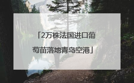2万株法国进口葡萄苗落地青岛空港