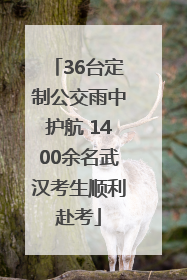 36台定制公交雨中护航 1400余名武汉考生顺利赴考