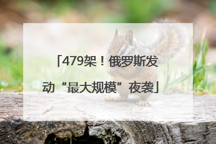 479架！俄罗斯发动“最大规模”夜袭