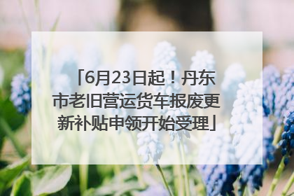 6月23日起！丹东市老旧营运货车报废更新补贴申领开始受理