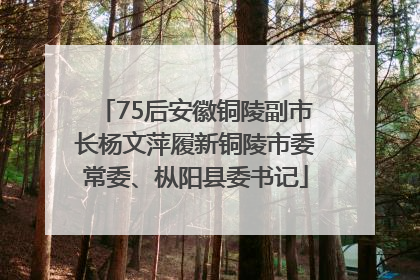 75后安徽铜陵副市长杨文萍履新铜陵市委常委、枞阳县委书记