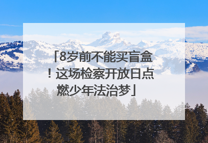 8岁前不能买盲盒！这场检察开放日点燃少年法治梦