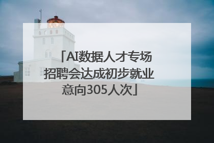 AI数据人才专场招聘会达成初步就业意向305人次